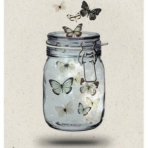 mariposas