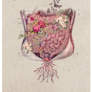 collage intestino flores