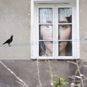 ventana alicia cuervo