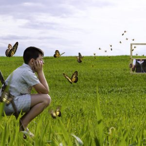 mariposas collage paisaje niño sueño